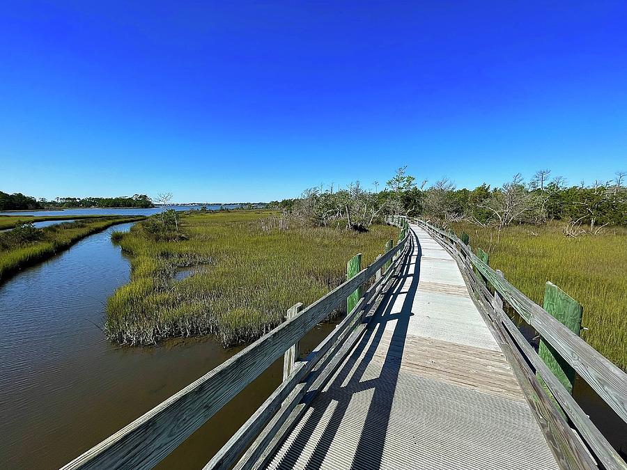 Cedar Point Tidelands Boardwalk Photograph by Collin Westphal - Fine ...