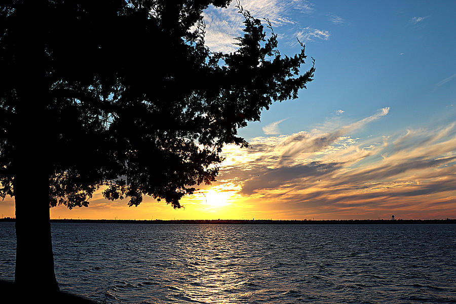 Cedar Sunset Photograph by Lizbeth Hinshaw-Kurtz