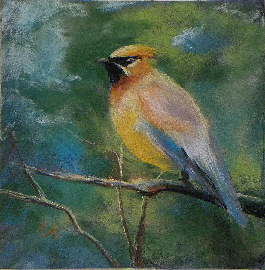 Cedar waxing waiting for the sunset Pastel by Ros Turner - Fine Art America