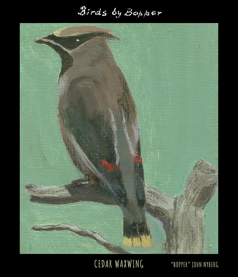 Cedar Waxwing Painting by Tim Nyberg