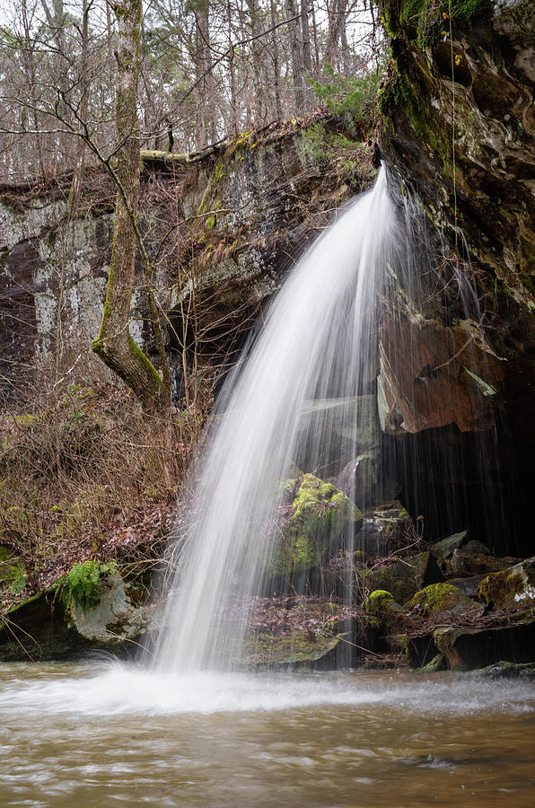 Cedar Wonders Waterfall Photograph by Grant Twiss Cedar Wonders Waterfall Photograph by Grant Twiss
