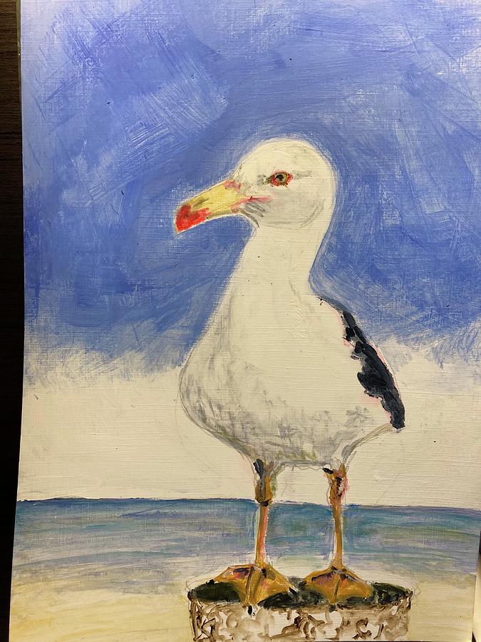 Cedric the Seagull Mixed Media by Sally anne Goodale | Fine Art America