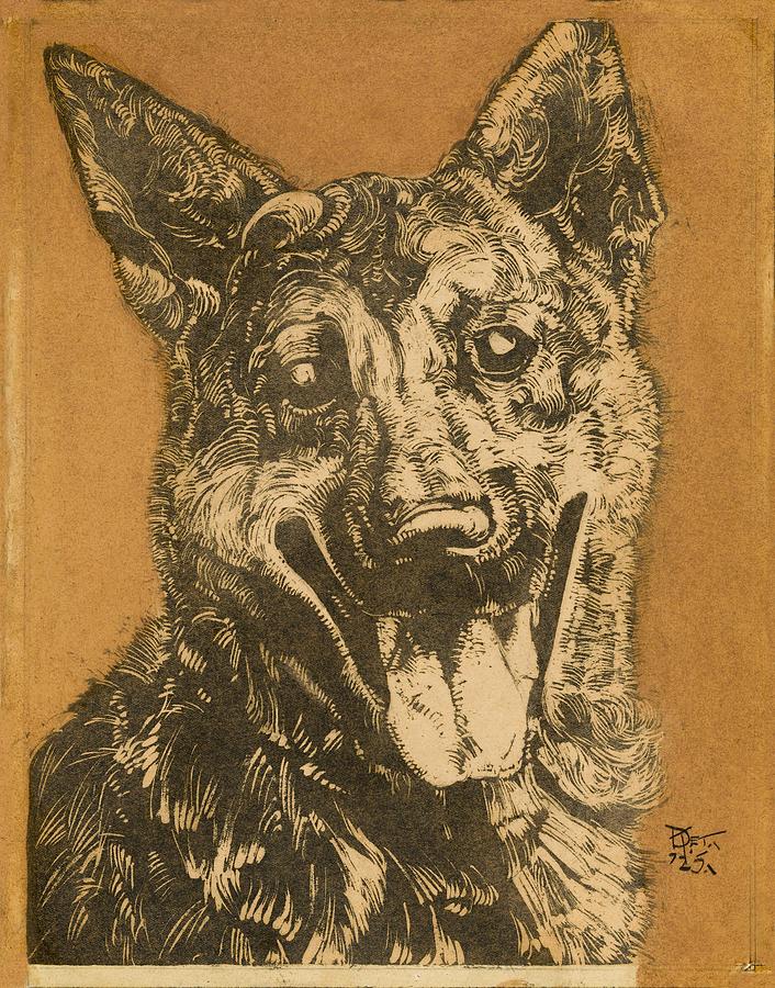 Animal Painting - Cees portret van een hond 1912-1940 drawing in high resolution by Dick Ket by Les Classics