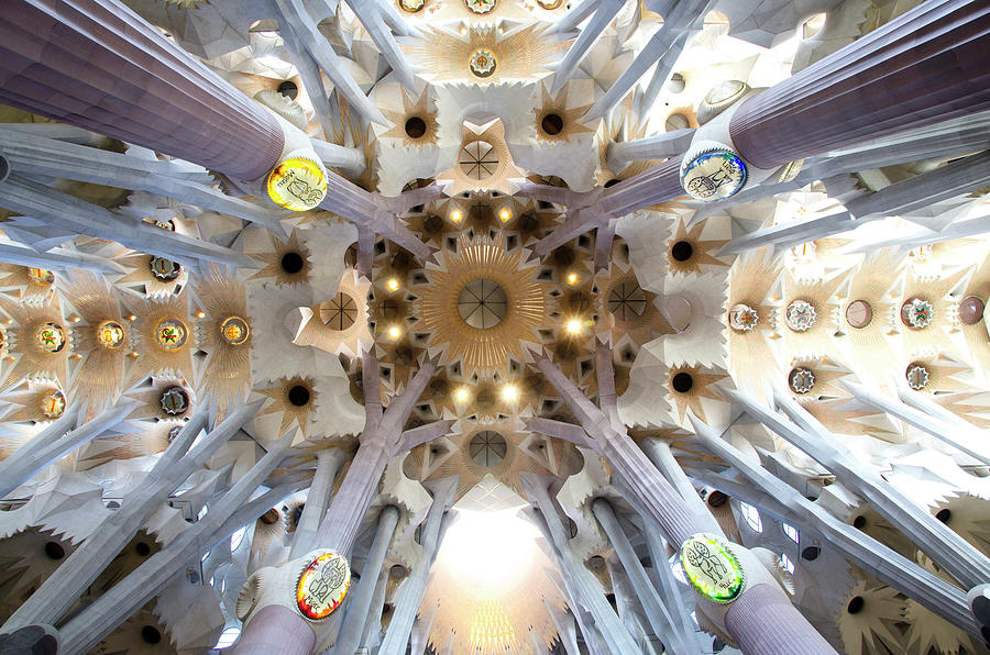 Ceiling of the Sagrada Familia. Barcelona Photograph by Jimmy Villalta ...
