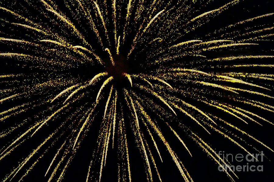Celebration Photograph by Lois Bryan Celebration Photograph by Lois Bryan