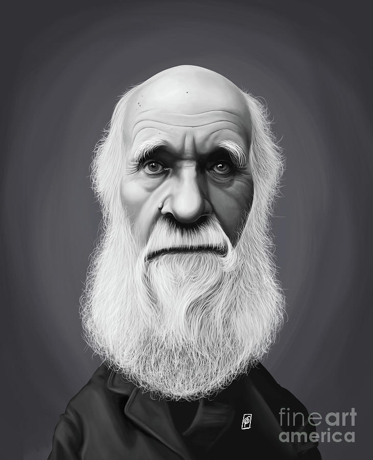 Celebrity Sunday - Charles Darwin Photograph by Rob Snow