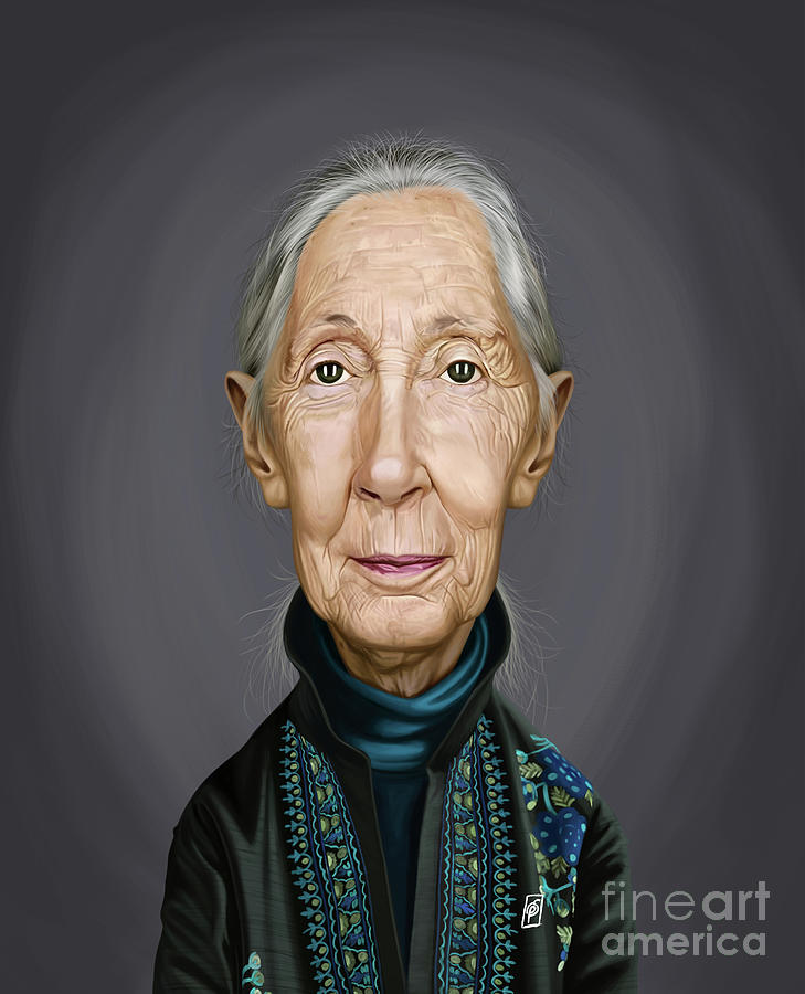 Celebrity Sunday - Jane Goodall Digital Art by Rob Snow
