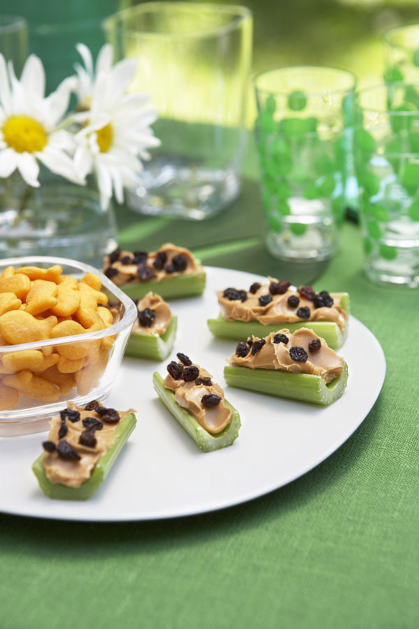 Celery with peanut butter and  raisins with snacks Photograph by Maren Caruso