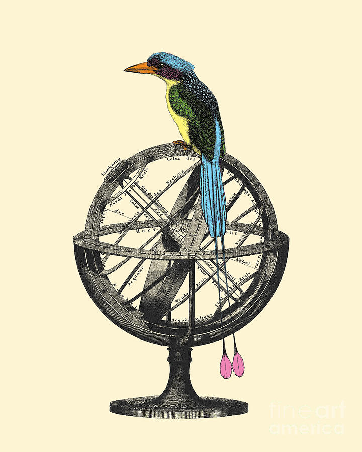 Bird Digital Art - Celestial Bird by Madame Memento