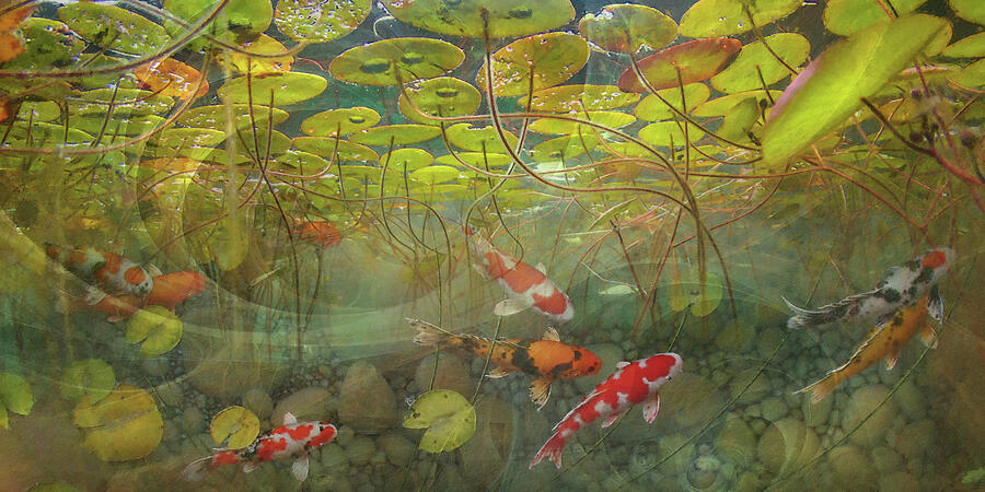 Celestial Fish I Painting by Steve Hunziker Celestial Fish I Painting by Steve Hunziker
