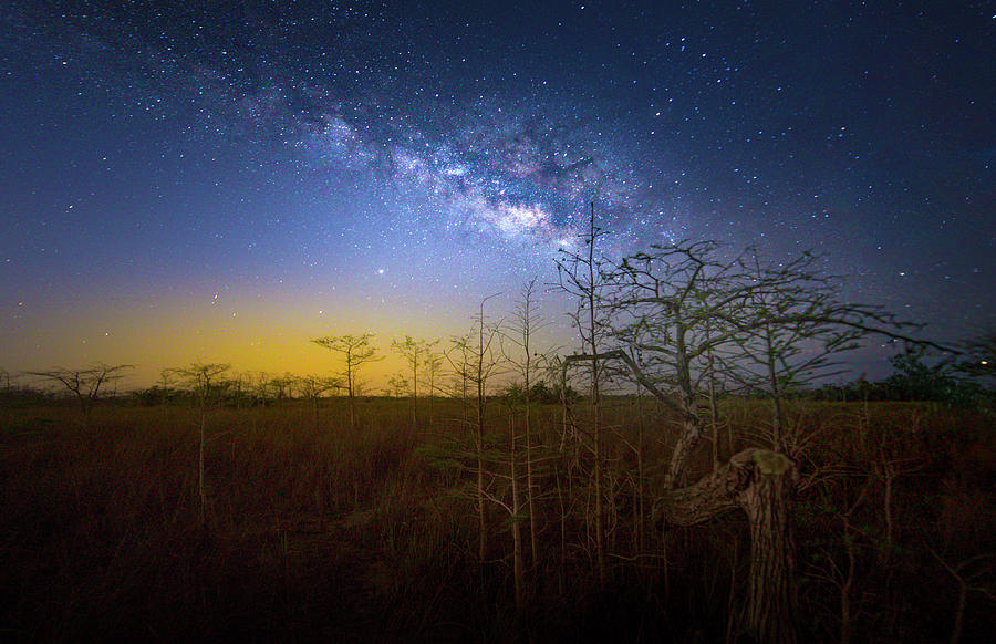 Everglades National Park Photograph - Celestial Flight by Mark Andrew Thomas