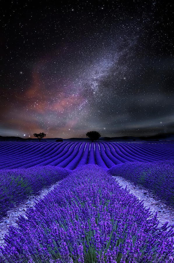 Celestial meaning Photograph by Jorge Maia
