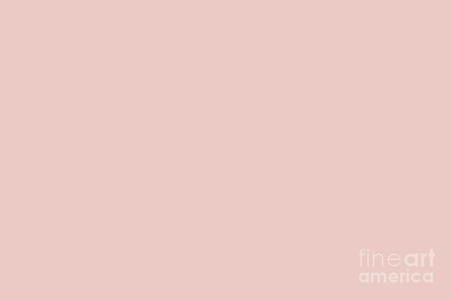 Celestial Pink - Pastel Pink Solid Color Pairs To Sherwin Williams Oleander SW 6603 Digital Art by PIPA Fine Art - Simply Solid