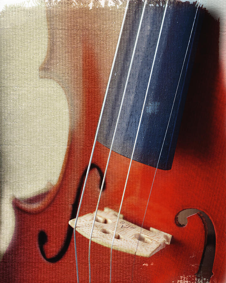 Cello, close-up Photograph by Benoit Jeanneton