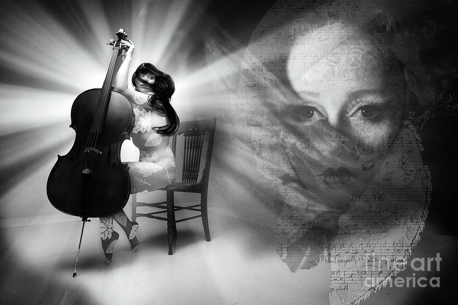 Celloista Noir Photograph by Jack Torcello