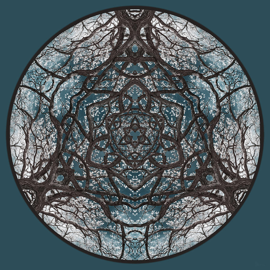 CeltOak Creation - Celtic trinity knot triquetra vibes evoked by kaleidoscopic view of an oak tree Photograph by Peter Herman