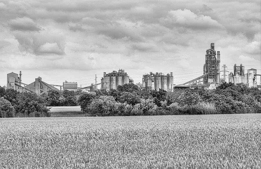 Cement and Wheat Black and White Photograph by JC Findley