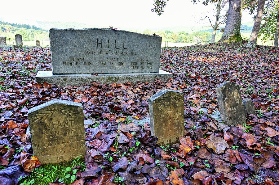 Cemetery And Young Headstones Photograph by Ed Stokes
