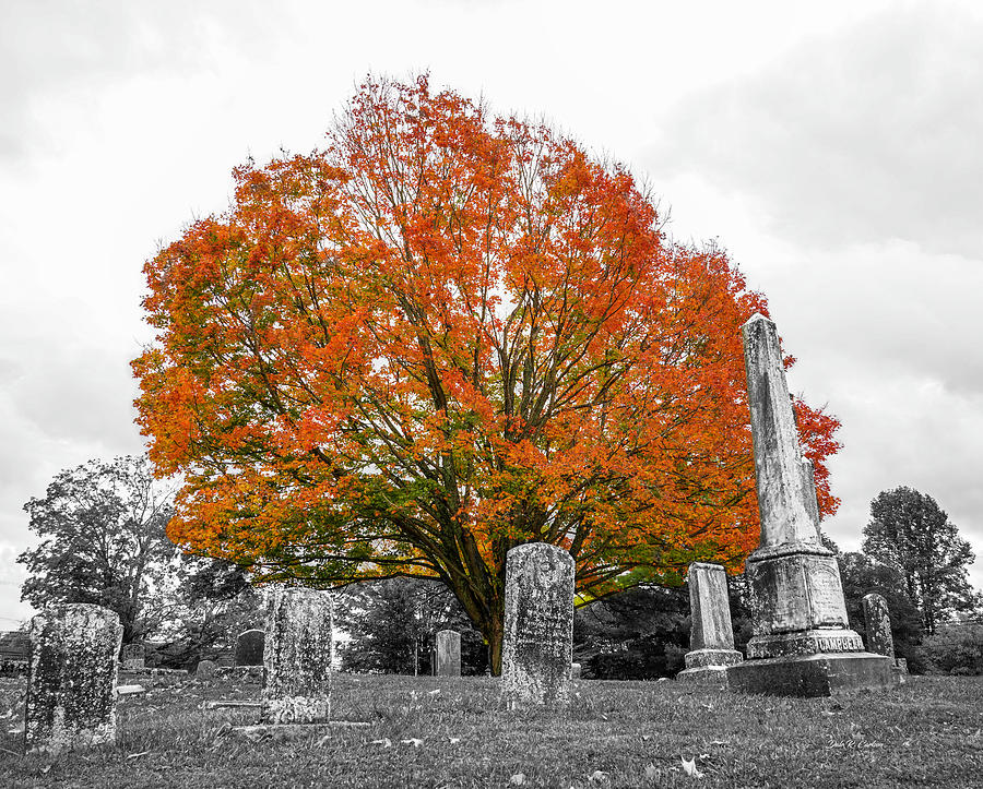 Cemetery Autumn Photograph by Dale R Carlson