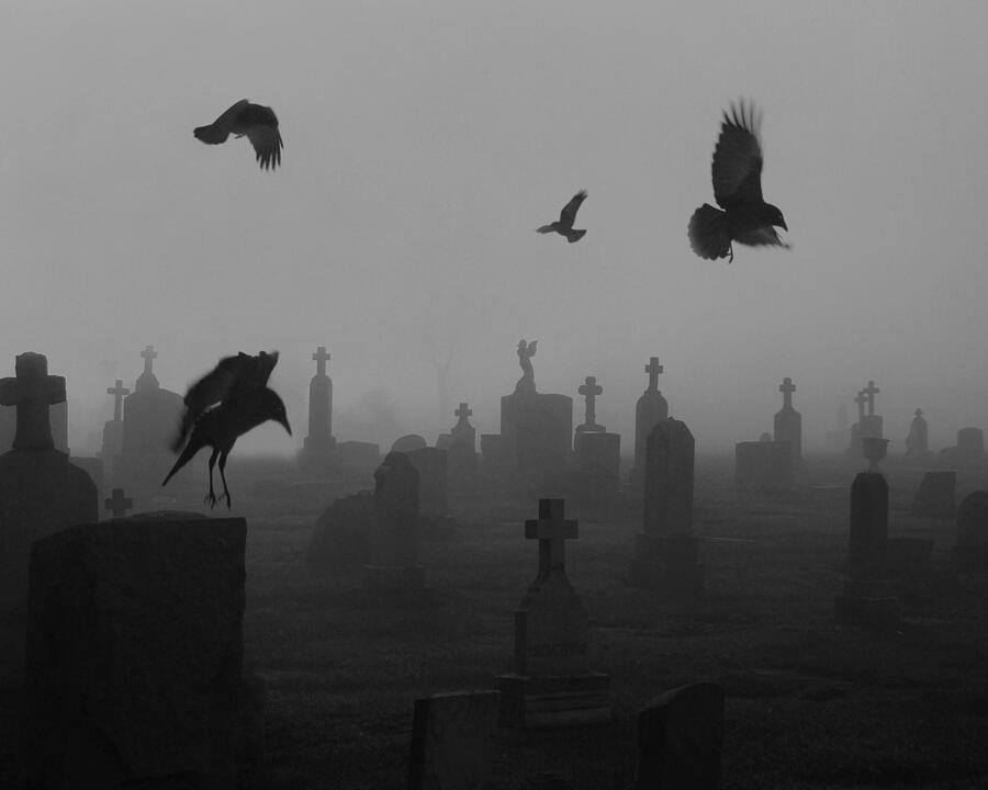 Cemetery Crows Photograph by Gothicrow Images - Fine Art America