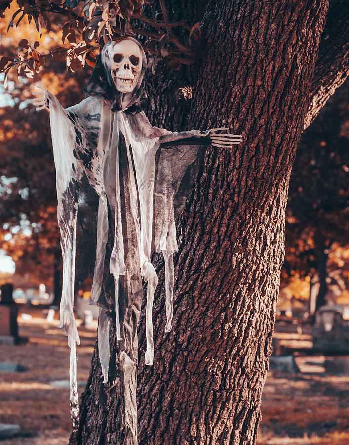 Still Life Photograph - Cemetery Skeleton Still Life by Sonja Quintero