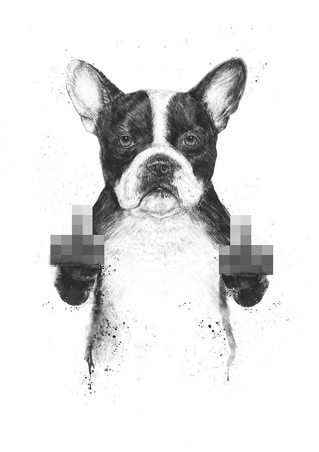 Animal Mixed Media - Censored dog by Balazs Solti