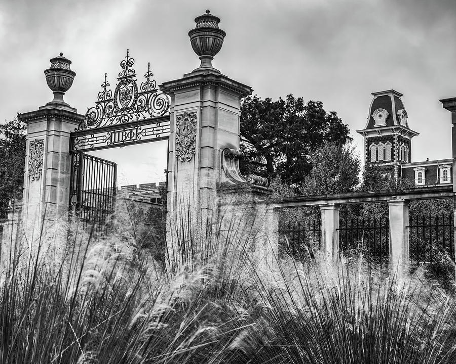 Centennial Gate To Old Main - University of Arkansas Black and White Photograph by Gregory Ballos