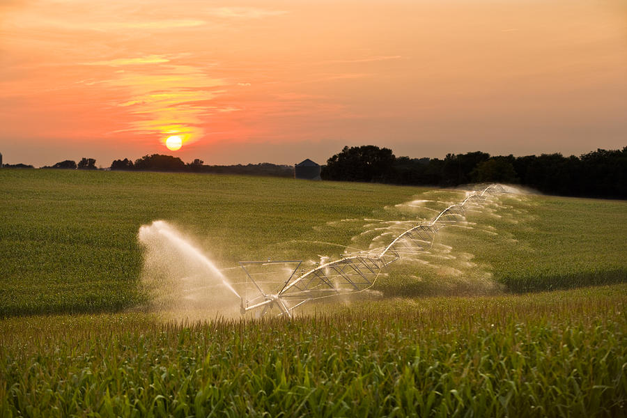 Center Pivot Irrigation corn field Photograph by Don Farrall