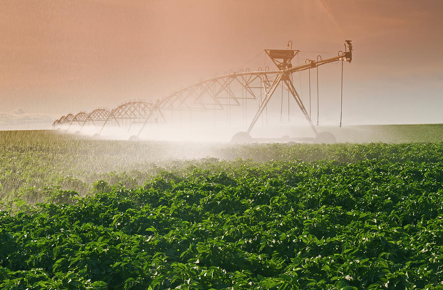 Center Pivot Irrigation Photograph by Dave Reede - Fine Art America