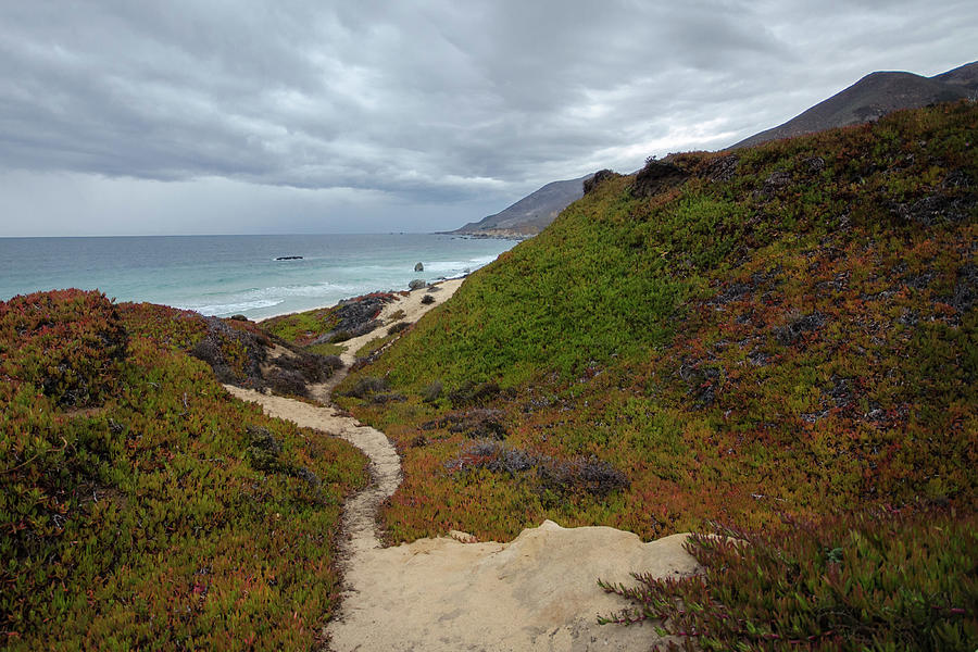 Central California Coast Beach Trail Photograph by Matthew DeGrushe