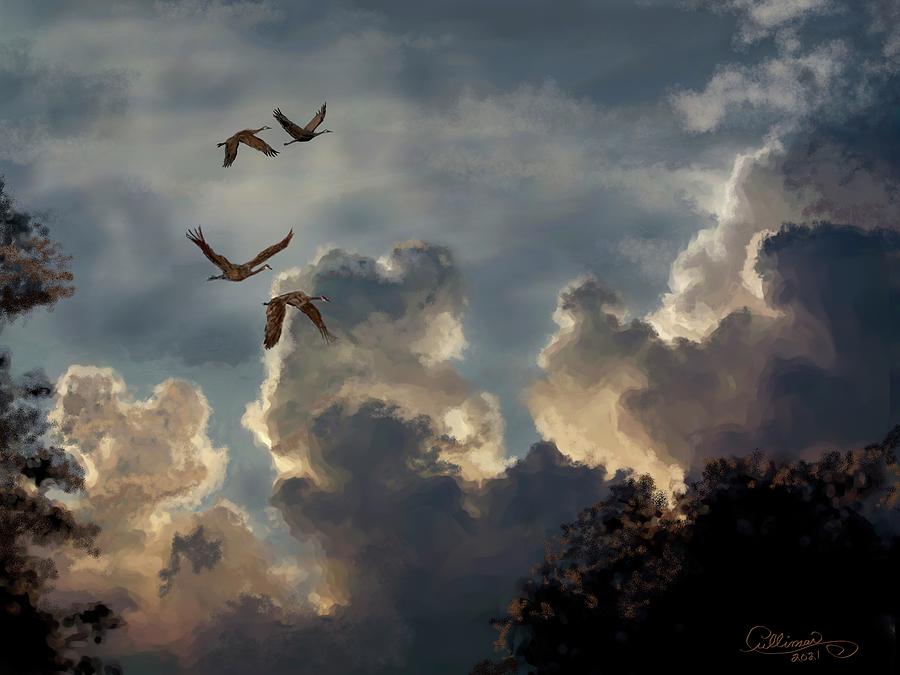 Landscape Digital Art - Central Floridas Sandhill Cranes Heading Home to the Grasslands by Marilyn Cullingford