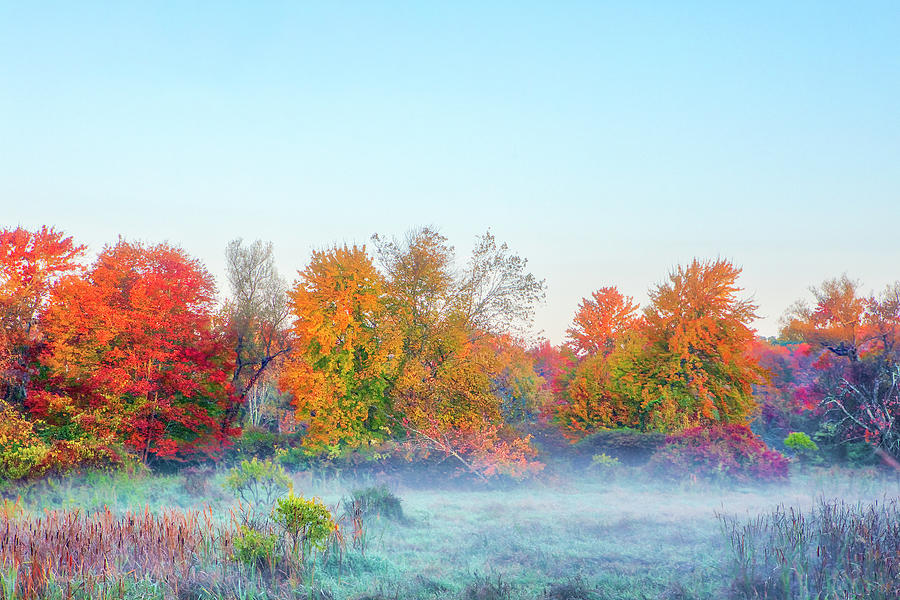 Central Massachusetts Fall Foliage and Morning Fog Photograph by Juergen Roth