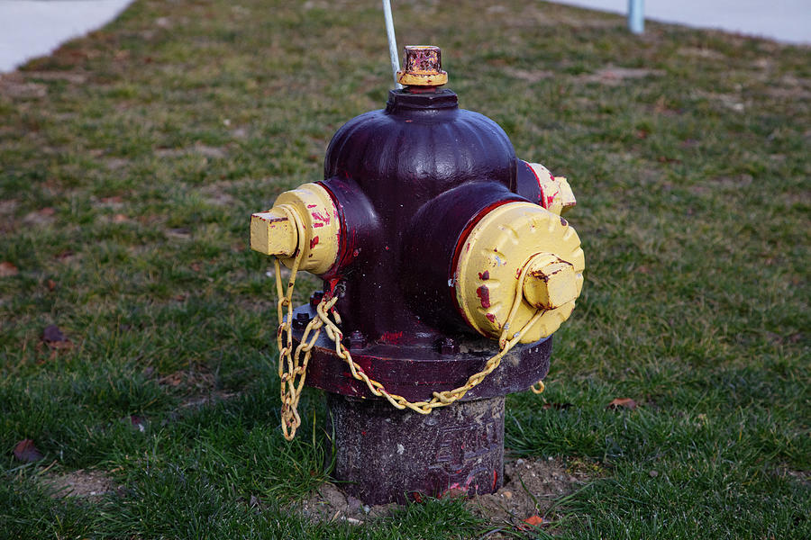 Central Michigan University Fire Hydrant Photograph by Eldon McGraw