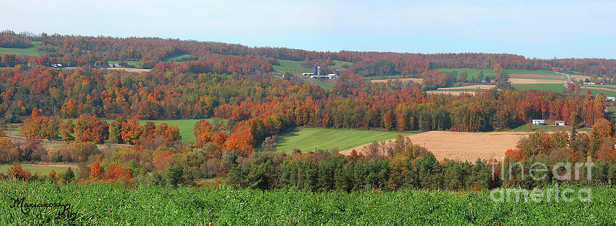 Central New York in the Fall Photograph by Mariarosa Rockefeller