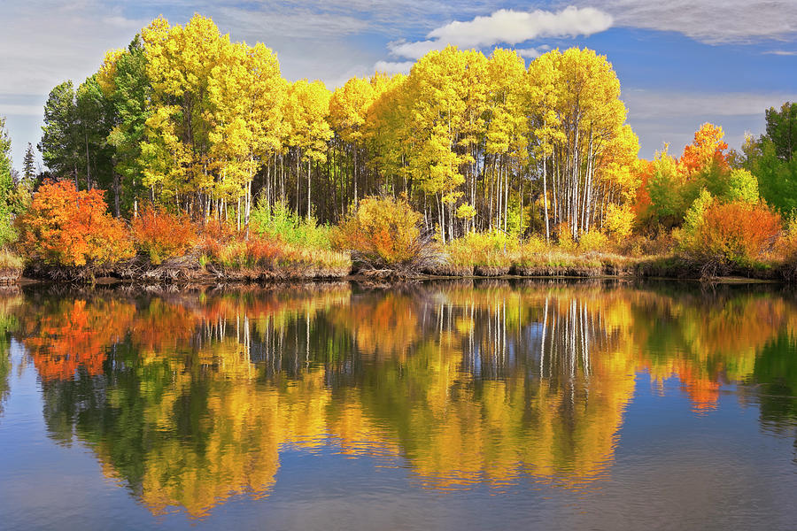 Central Oregon's Deschutes River autumn colors reflection. Photograph ...