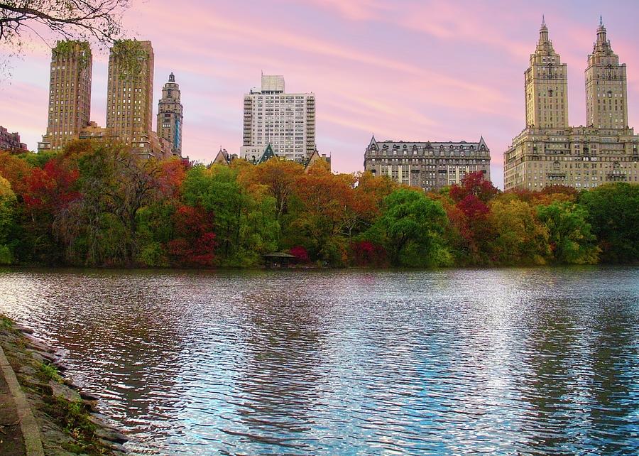 Landscape Photograph - Central Park #1 by Matthew Adelman Landscape Photograph - Central Park #1 by Matthew Adelman