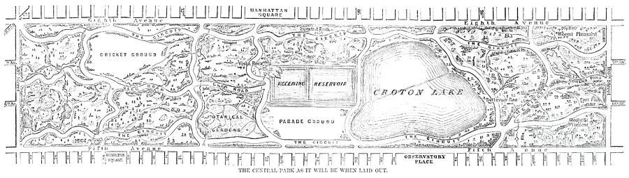 Central Park, 1857 Drawing by Granger