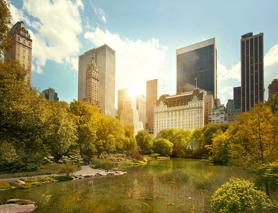 Central Park and Midtown Manhattan, NYC Photograph by Orbon Alija
