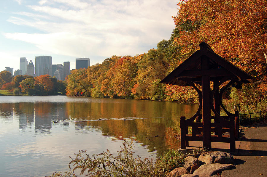 Central Park Autumn Photograph by James Kirkikis
