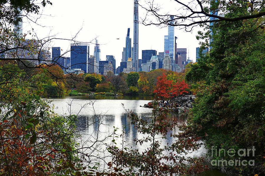  Central Park Autumn No.1 Photograph by Steve Ember