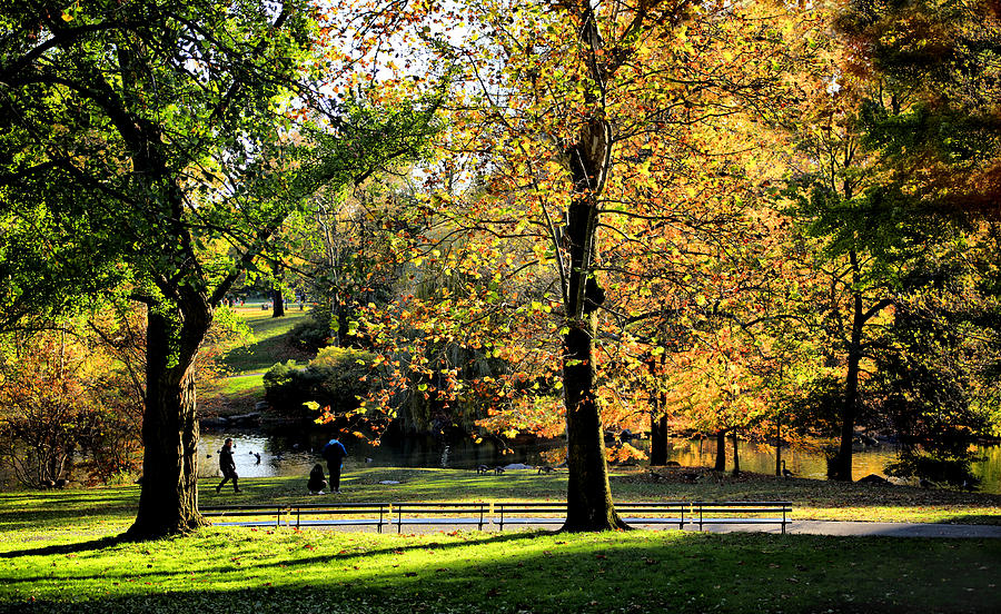 Central Park Autumn No.2 Photograph by Steve Ember