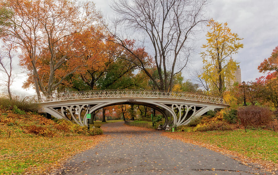 Central Park Bridge Photograph by Linda Bielko | Fine Art America