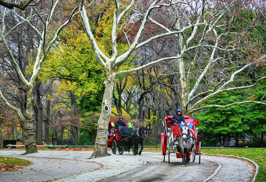 Central Park Carriages Photograph by Mark Chandler - Fine Art America