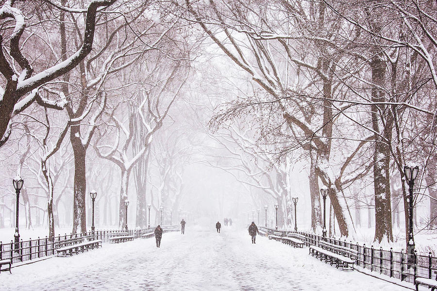 Central Park Deep in Snow  Photograph by Doc Braham