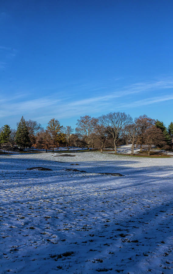 Central Park East Meadow and Snow Photograph by Robert Ullmann