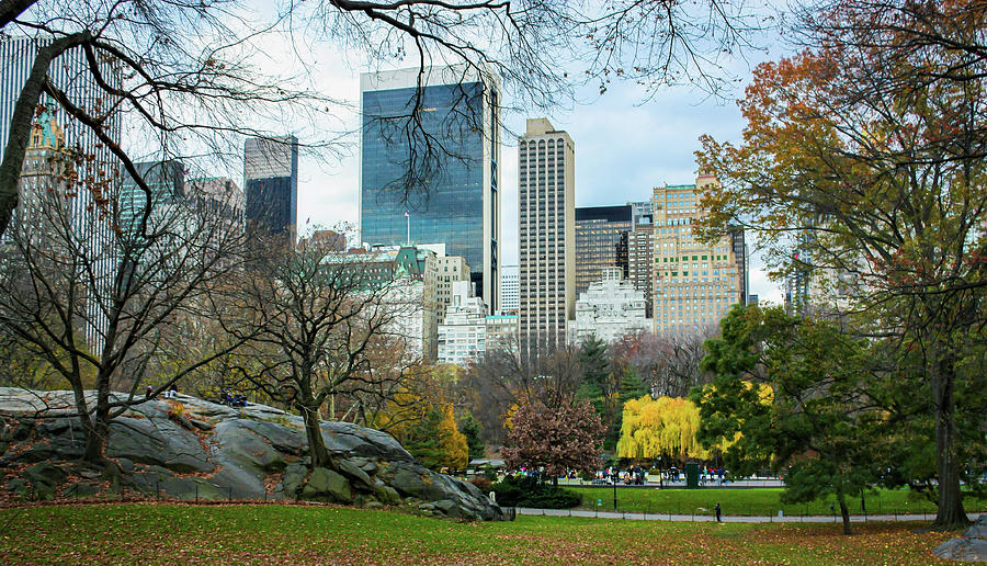 Central Park Fall Scene Photograph by Mark Chandler - Fine Art America