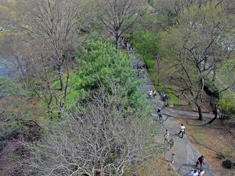 Central Park From The Castle Photograph