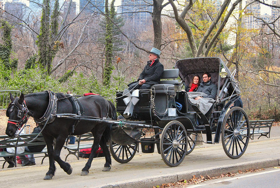Central Park Horse Carriage NY NY Photograph by Chuck Kuhn