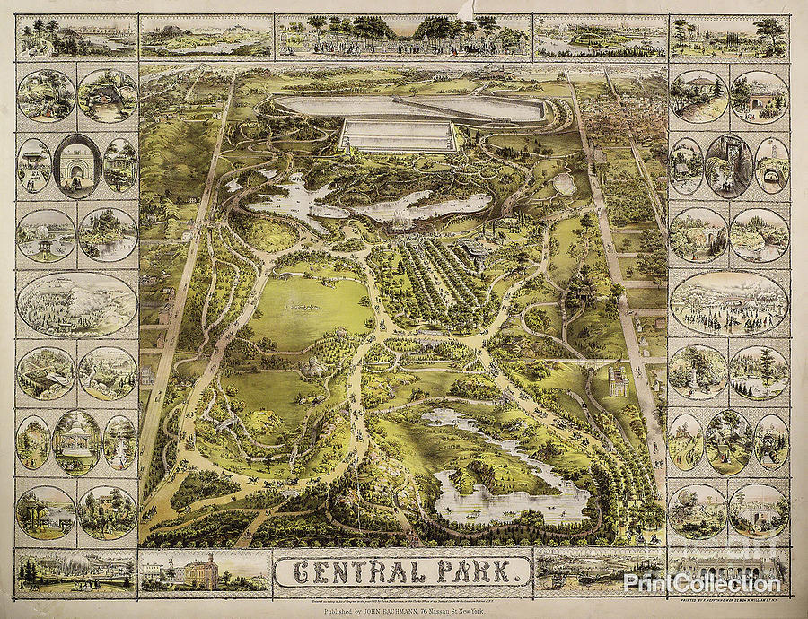 Central Park in 1863 Photograph by Afinelyne