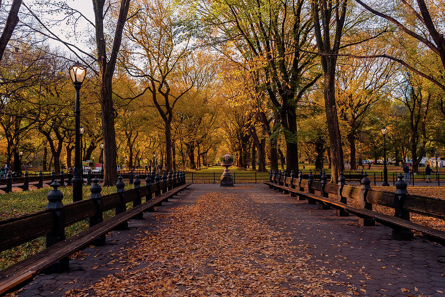 Central Park in Fall Photograph by Terri Mongeon - Fine Art America